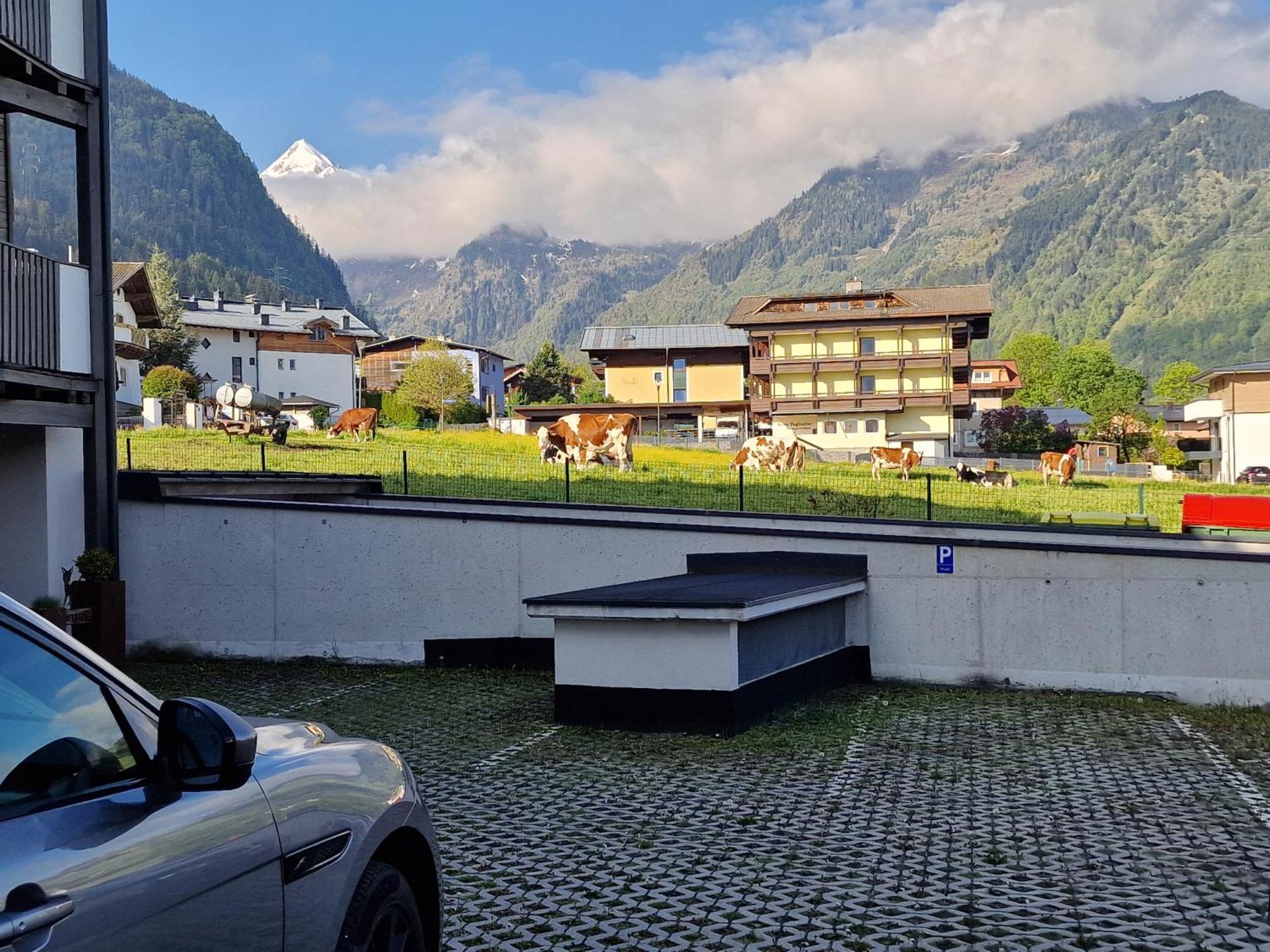 Adler Kaprun, Golf 'n' Ski&mountain Biking. Apartment *